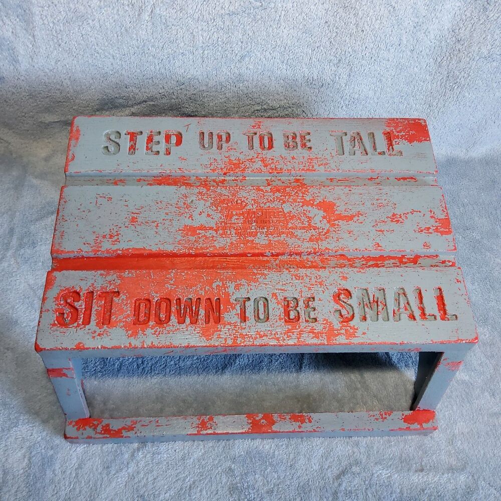 Rare Vintage 1979 Empire Carolina Enterprises Plastic Step Stool Red Grey 100lb